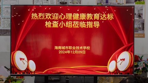 2024-12-09心理健康教育达标检查组莅临指导-6.jpg